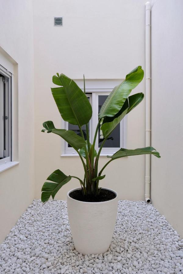 Urban Oasis La Palma Leilighet Santa Cruz de la Palma  Eksteriør bilde